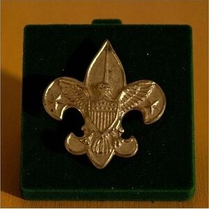 Vintage BSA Boy Scouts Pin Fleur De Lis Eagle Crest Latch Clasp Gold Tone